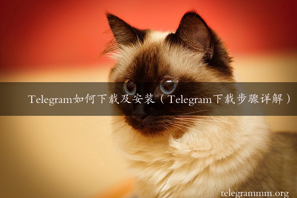 Telegram如何下载及安装（Telegram下载步骤详解）